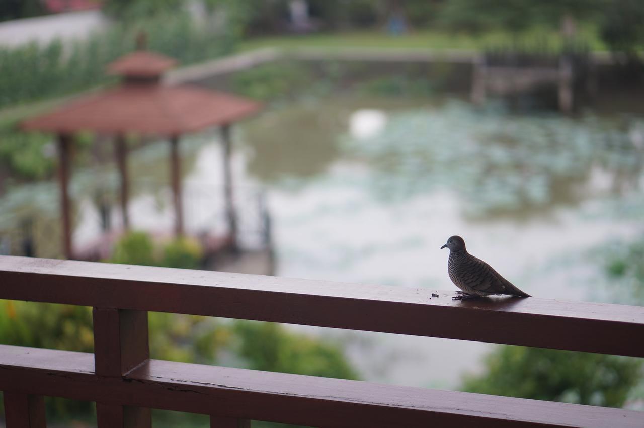 Thaihome Resort Ban Bang Muang  Exteriör bild